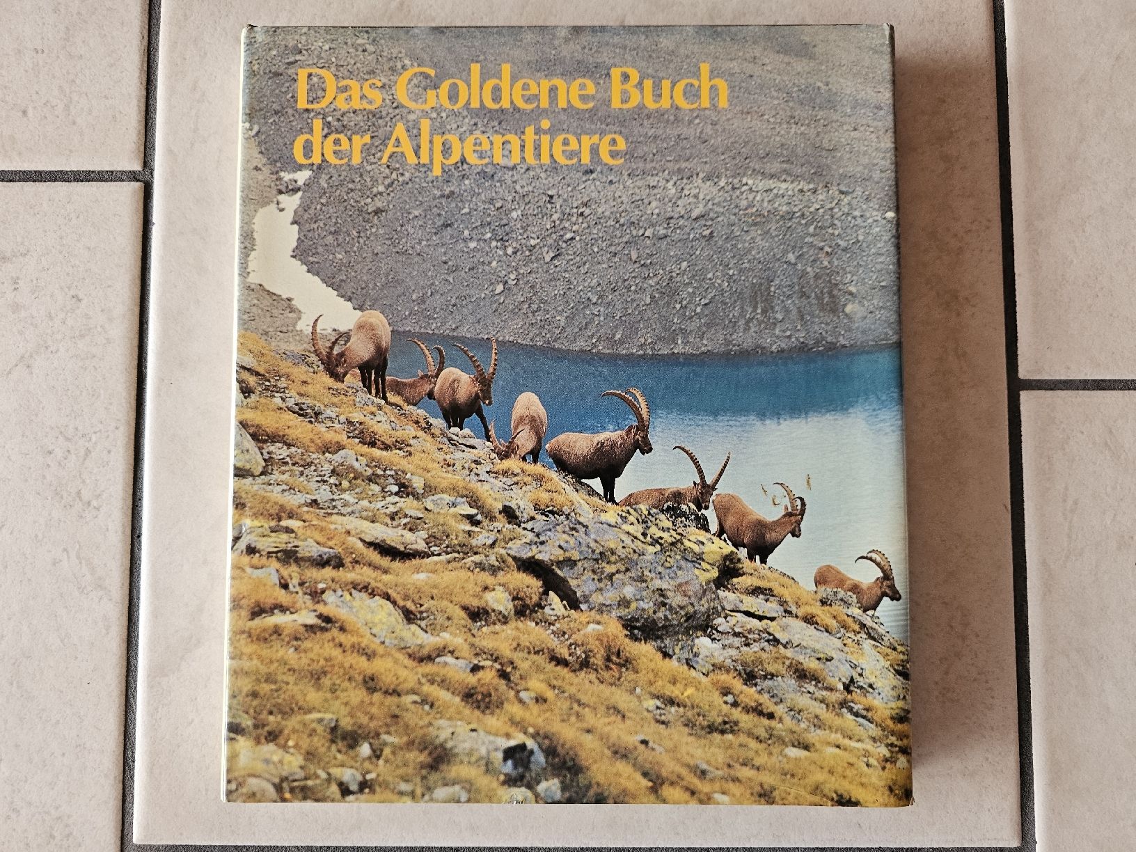 Libri: Das goldene Buch der Alpentiere – Usato da Schneisingen venduto da backstore24