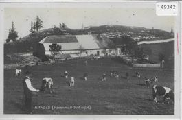 Althüsli (Hasenmatt)