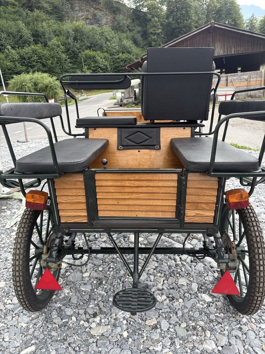 Calèches: Wagonette Planwagen Kutsche – D'occasion à Fürstenaubruck par Reddog6 5