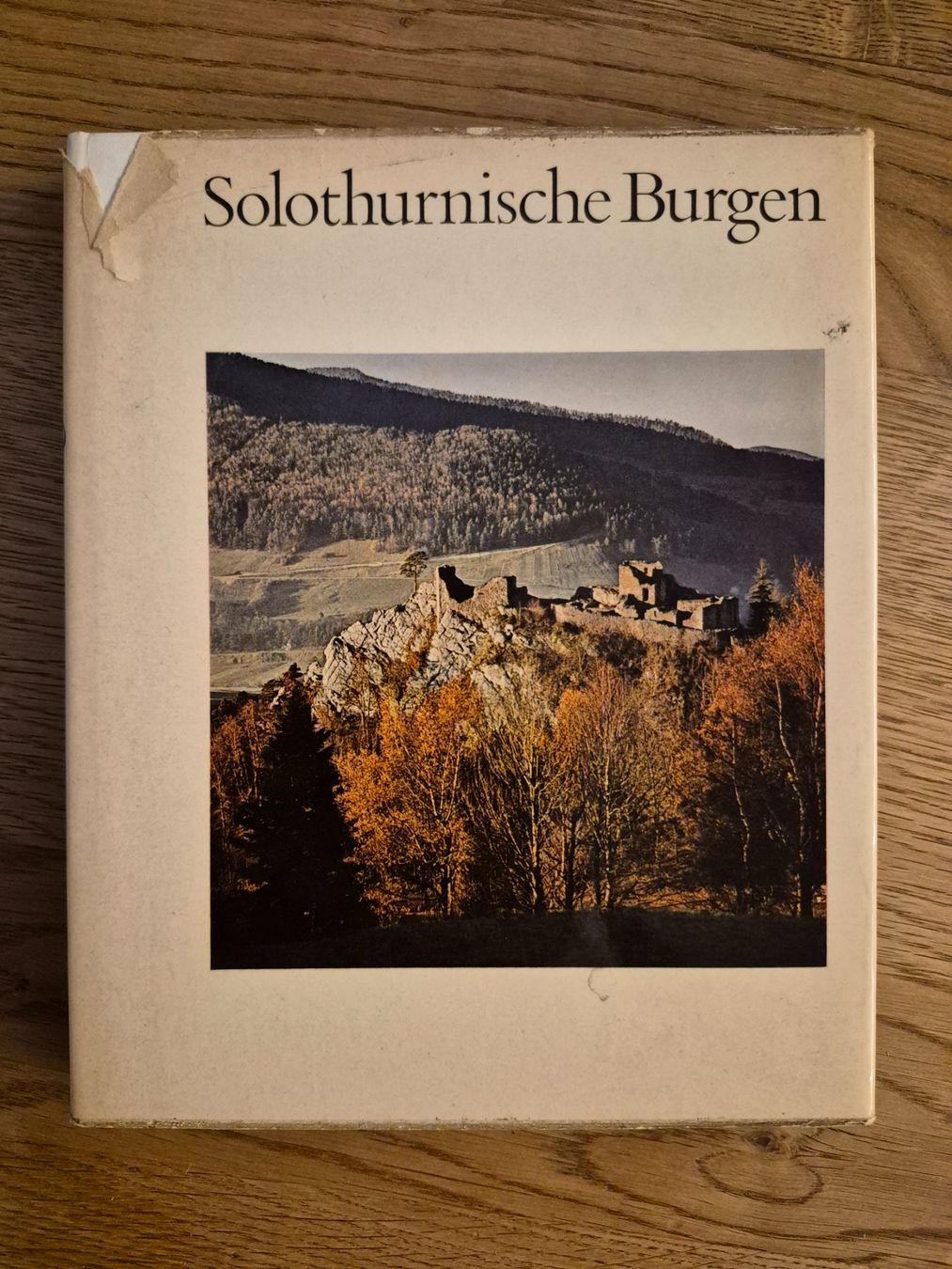 Libri: Solothurnische Burgen – Usato da Balsthal venduto da Jamamoegg