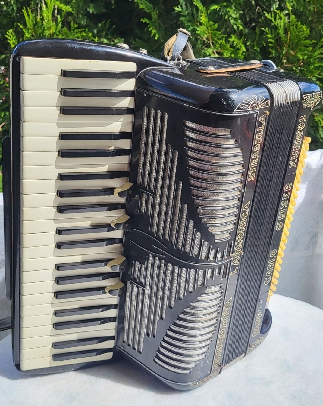 Strumenti musicali: Cooperativa stradella 4 voix rare – Usato da Penthalaz venduto da EvandroLuz 1