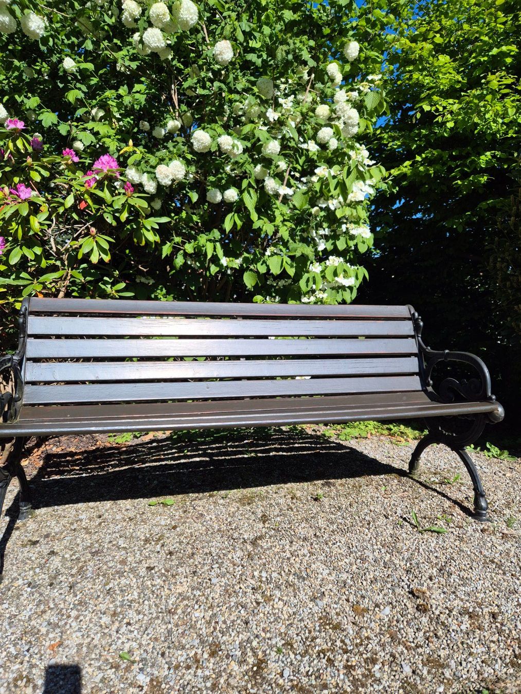 Panchine: Gartenbank Holz und Eisen – Usato da Speicher venduto da Ramtha1