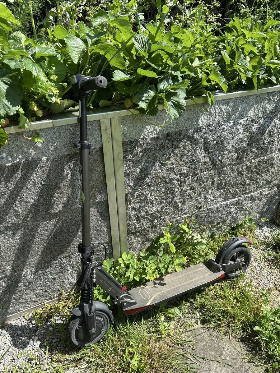 Kickboard: e-TWOW, Elektrotrottinett – Difettoso da Rüti ZH venduto da Giraffenohren 1