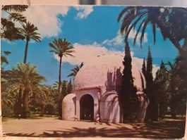 Ansichtskarte Elche Spanien