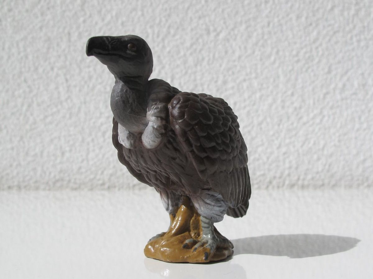 Schleich Statuette: Schleich 16706 Weissrücken Geier – Usato da Vilters venduto da hedi00