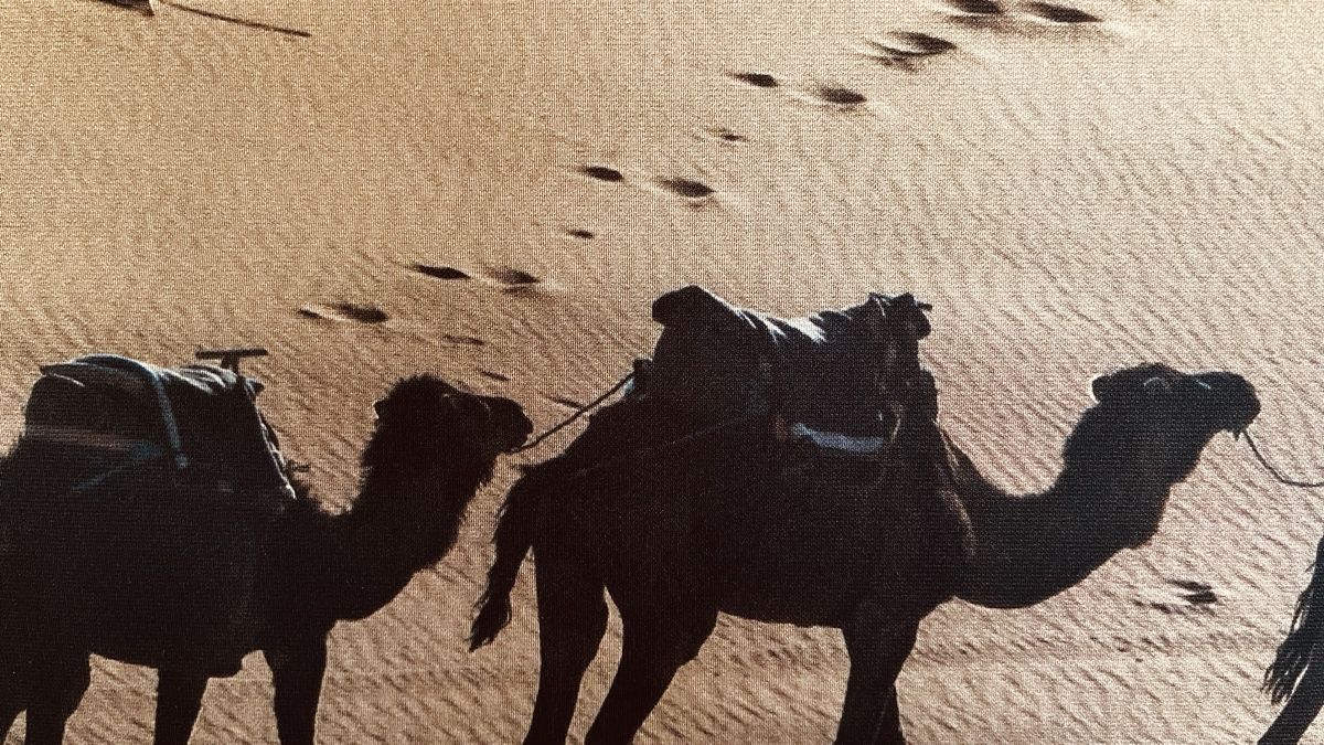 Poster & Bilder: Textilspannrahmen mit Bild – Gebraucht aus Holziken von Bibli05 2