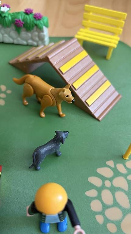 Playmobil Spielzeuge: Hunde-Agility von Playmobil – Gebraucht aus Zürich von Engelhard74 3
