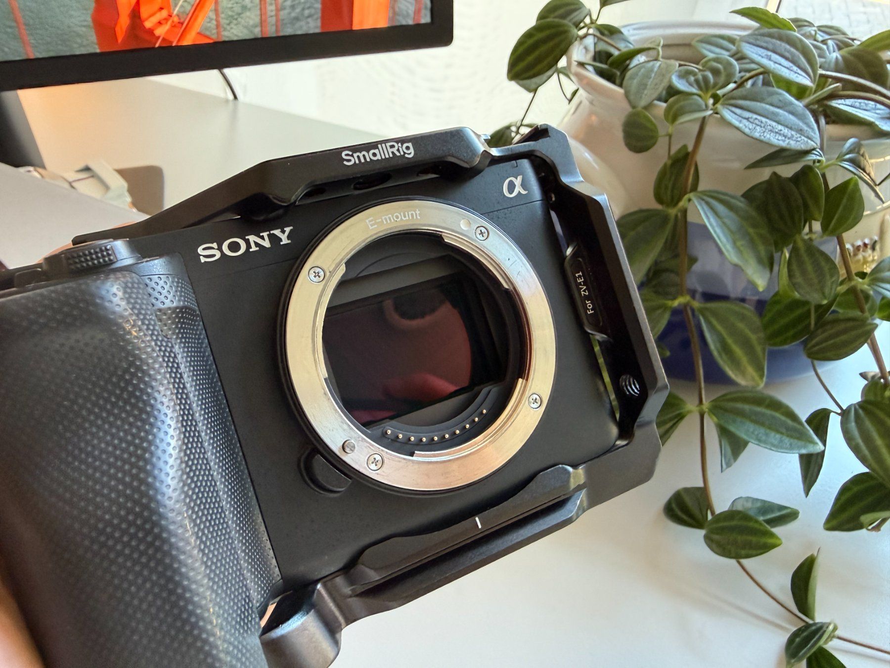 Sony Kamera: Sony ZV-E1, Vollformat, Schwarz, mit SmallRig Cage & Lüfter – Neu (gemäss Beschreibung) aus Mattwil von jj-fox 2