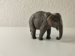 Mojo Elefant Wild Life Zoo