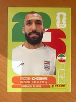 Panini IRN15