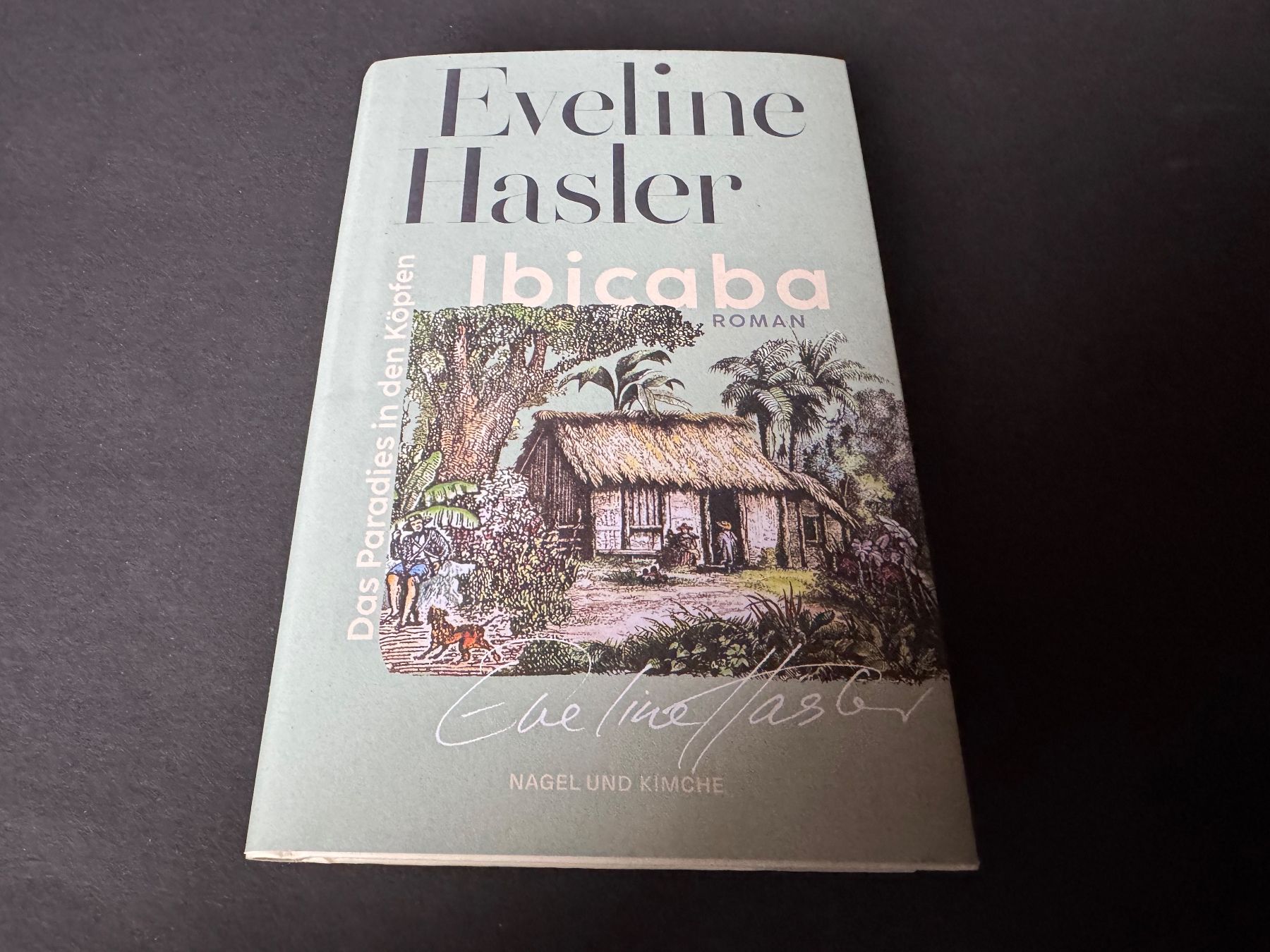 Libri: EVELINE HASLER IBICABA – Nuovo (secondo la descrizione) da Hägendorf venduto da bri_v995