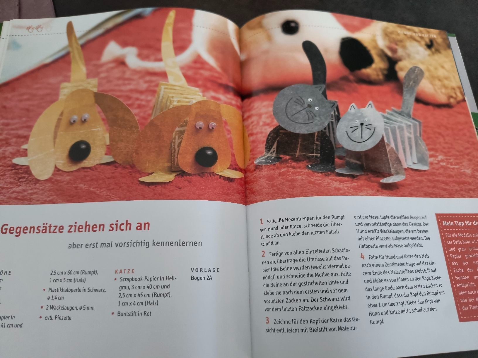 Libri: Faltideen einfach tierisch Buch Basteln mit Papier – Usato da Oberweningen venduto da Bumblebee2 3