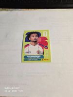 Panini  2026 RUBEN PROVIDENCE HAI 17