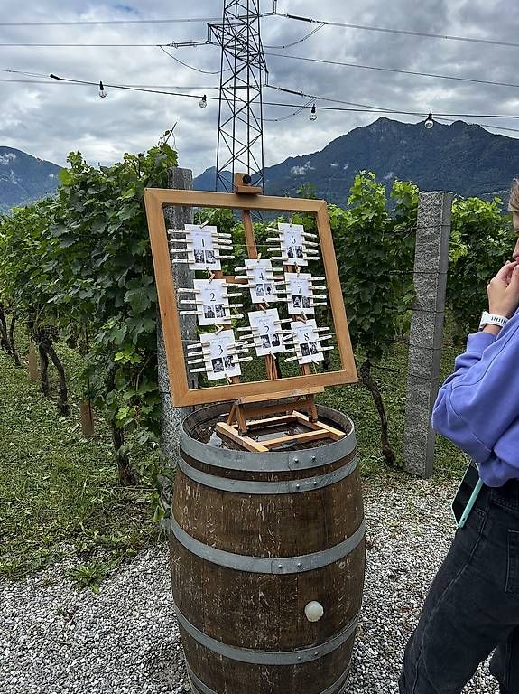 Alle Dekorationen: Hochzeitsdeko Boho - Welcome Desk – Gebraucht aus Zürich von bur_fng8 1