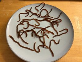 10 Satoshimi Futanari Gummiwürmer - lebensecht - 10 CM - neu