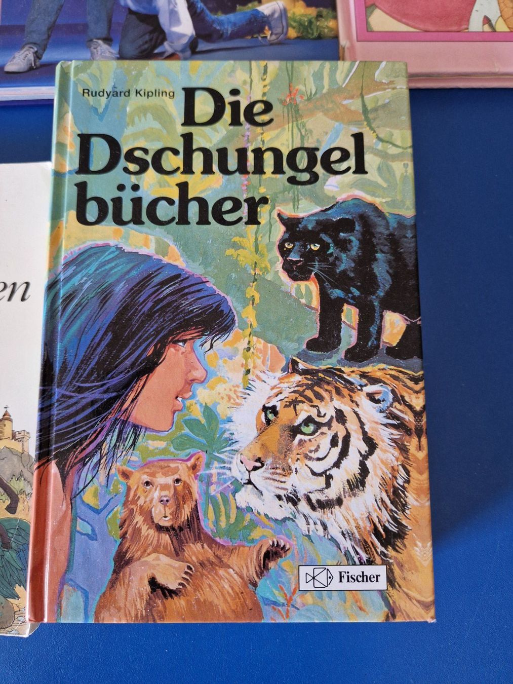 Bücher: 7 Stk. Kinder-/Jugendbücher – Gebraucht aus Münchenbuchsee von Aare22 7