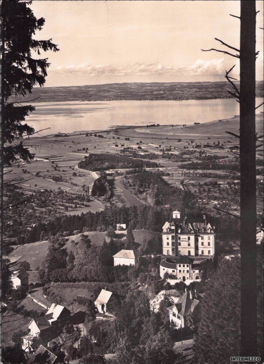 Cartoline postali: Walzenhausen AR // 1956 Blick auf den Bodensee – Usato da Basel venduto da intermezzo12