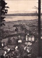Walzenhausen AR // 1956 Blick auf den Bodensee