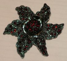 Brosche mit roten Steinen