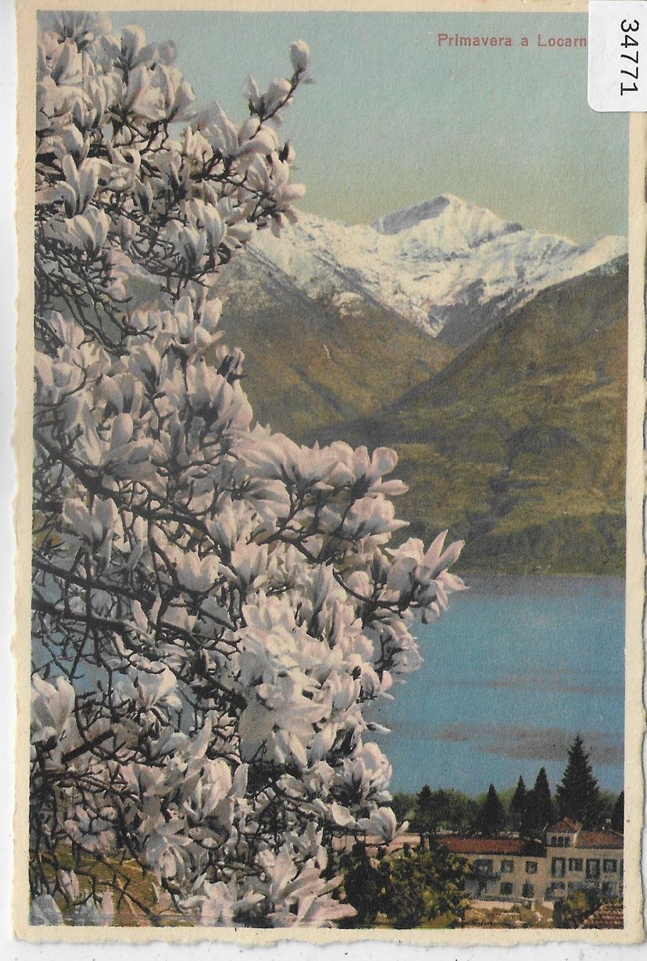 Cartoline postali: Primavera a Locarno - Litho – Usato da Ettingen venduto da Kartenplanet