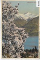 Primavera a Locarno - Litho