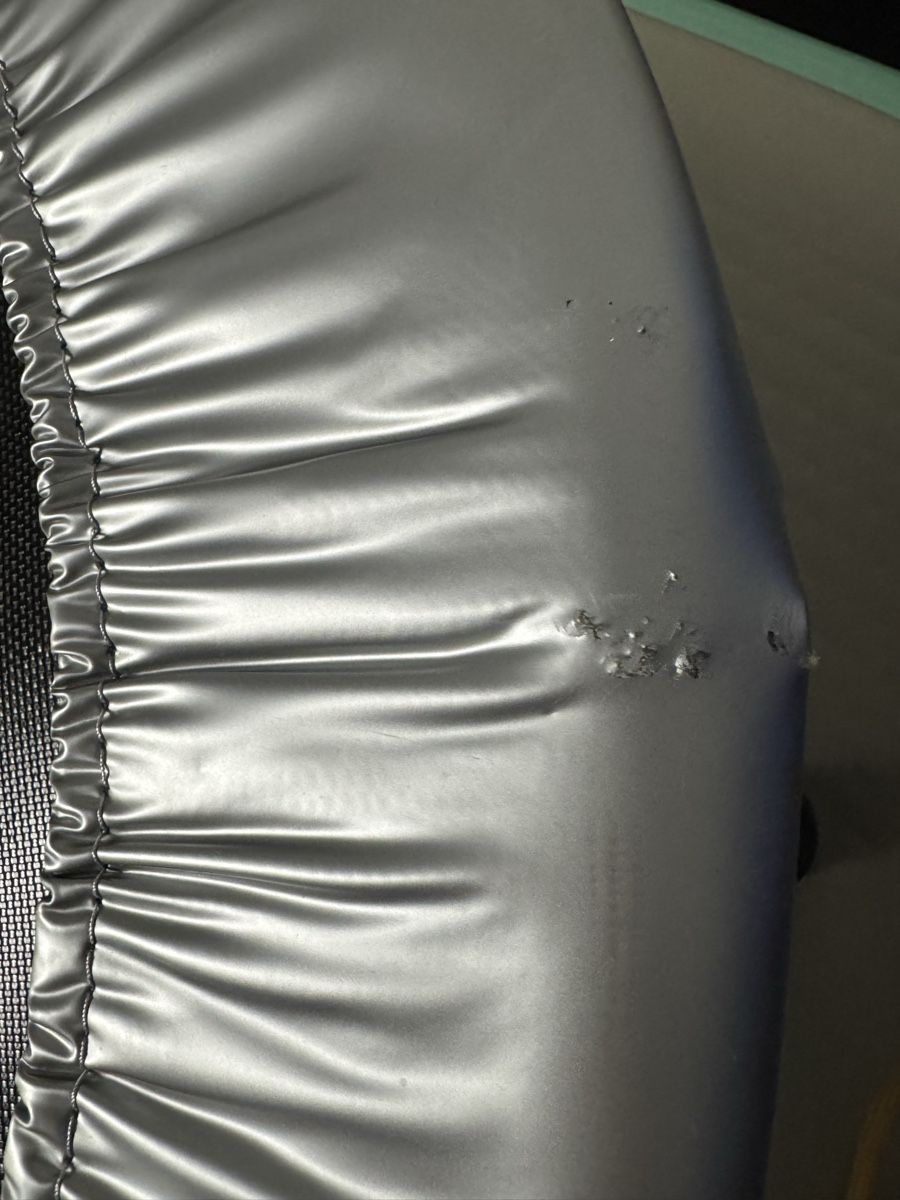 Bodyshape Trampolini: Bodyshape Minitrampolin – Usato da Bachenbülach venduto da Elcomaster 3