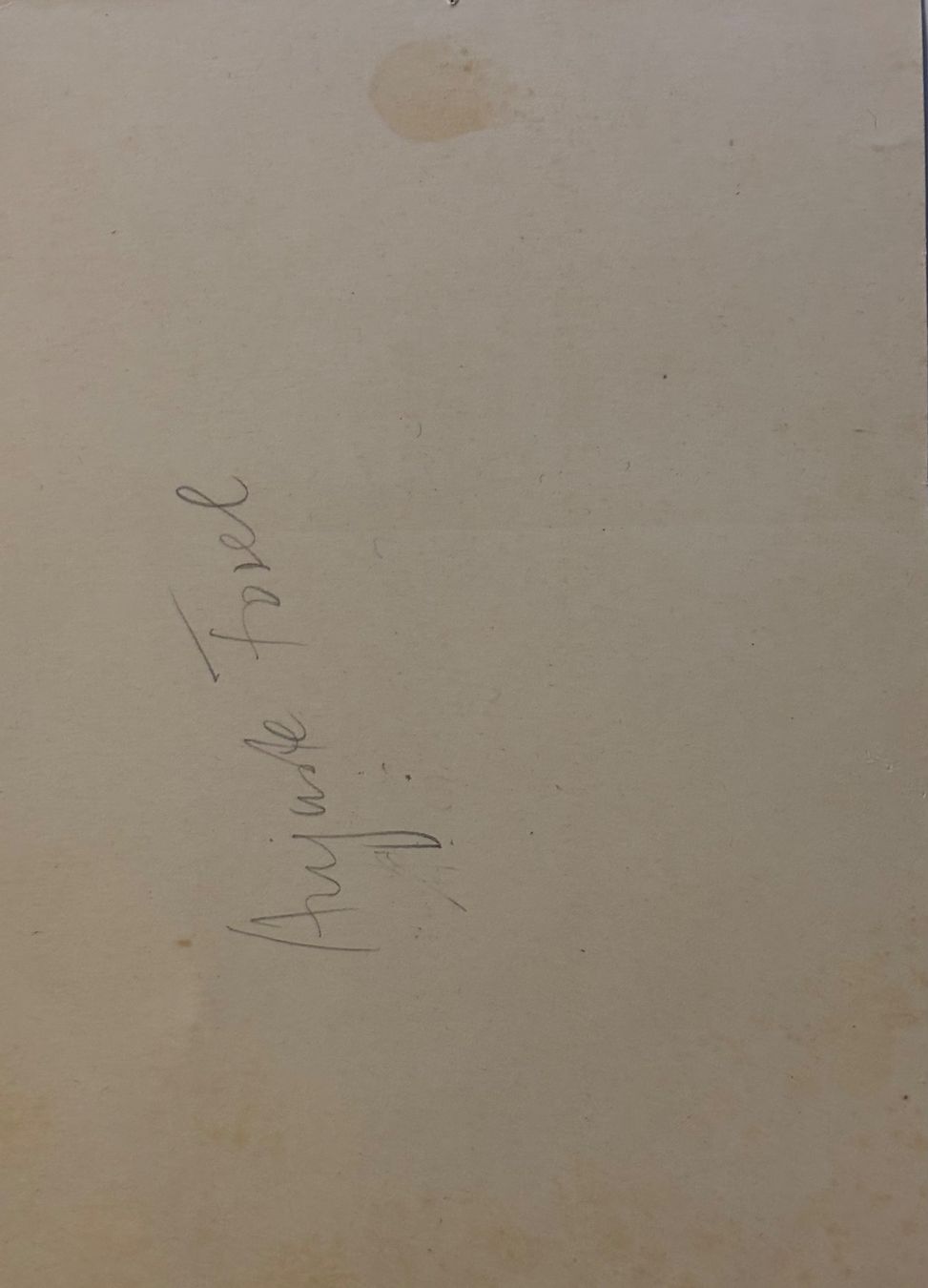 Cartoline postali: Auguste Forel, Schweizer Psychiater, Morges, Yvorne – Usato da Frauenfeld venduto da Merk52 1