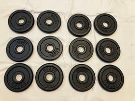 12 Hantelscheiben 1.25 kg