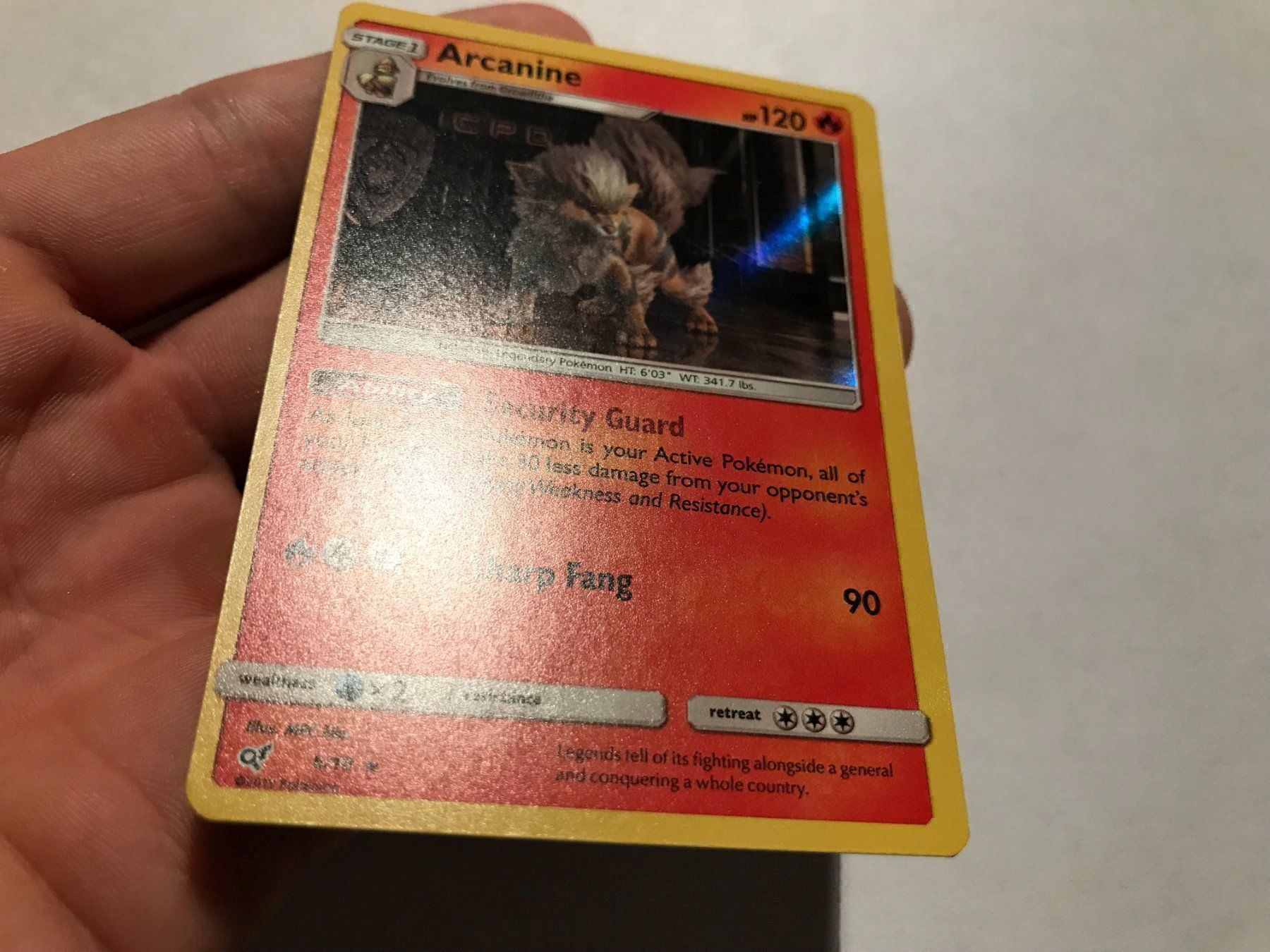 Pokémon Carte collezionabili: Arcanine holo – Nuovo (secondo la descrizione) da Hagendorn venduto da Pokecollectorch 2