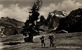 Bei Grindelwald, Wetterhorn. Sennen mit Käsen