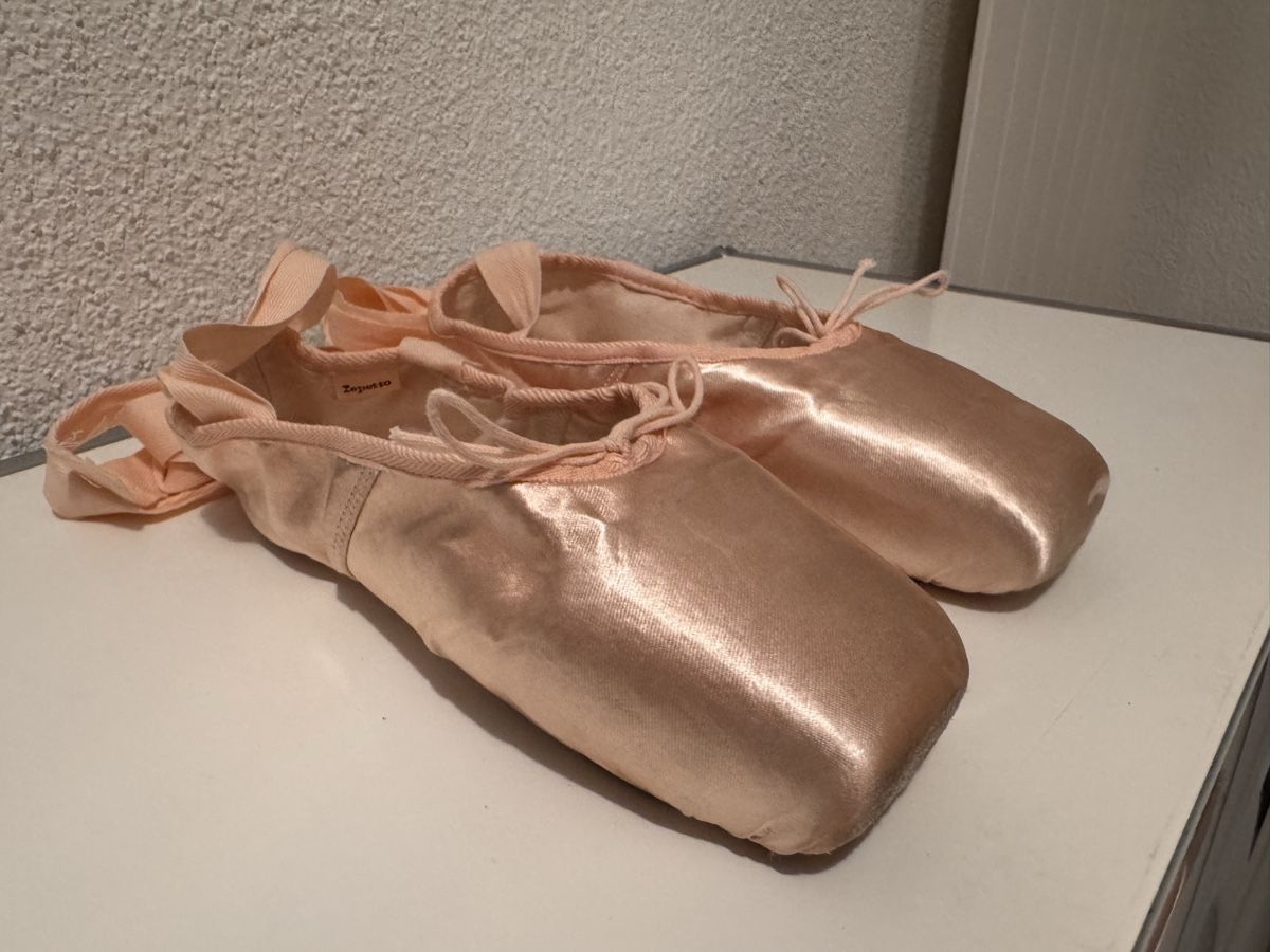 Scarpe da donna: Ballettschuhe Spitzenschuhe Gr. 5.5 (ca. 37) – Usato da Wilderswil venduto da Renaissance1 5