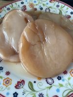🌱 Bio Kombucha SCOBY +150ml Aktive Starter, Anleitung@Email