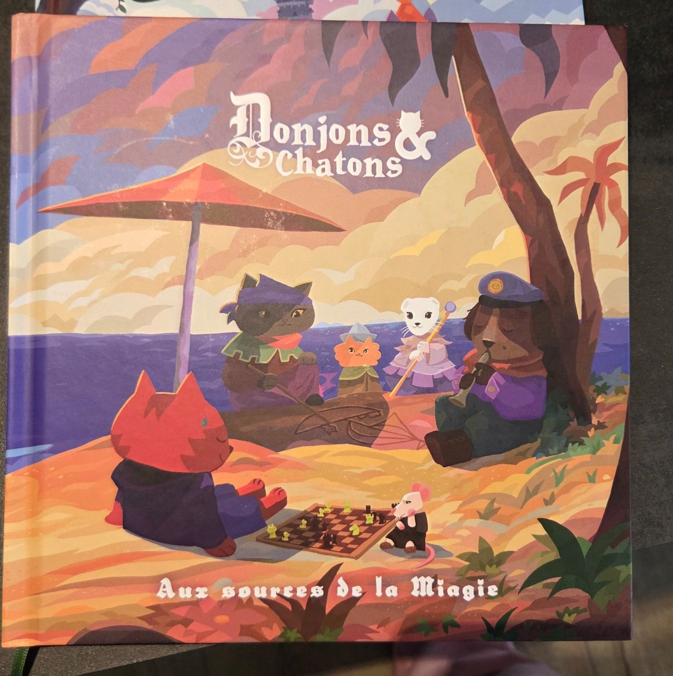 Libri: Livre donjons et chatons – Nuovo (secondo la descrizione) da Ependes FR venduto da Elphy