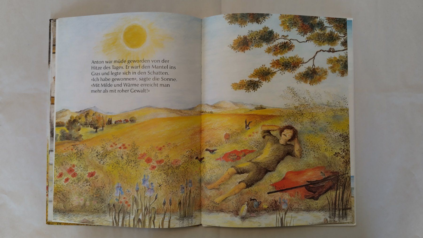 Libri: Bernadette / Sonne und Wind - Wer ist der Stärkste? – Usato da Bellach venduto da JingleJerry 7