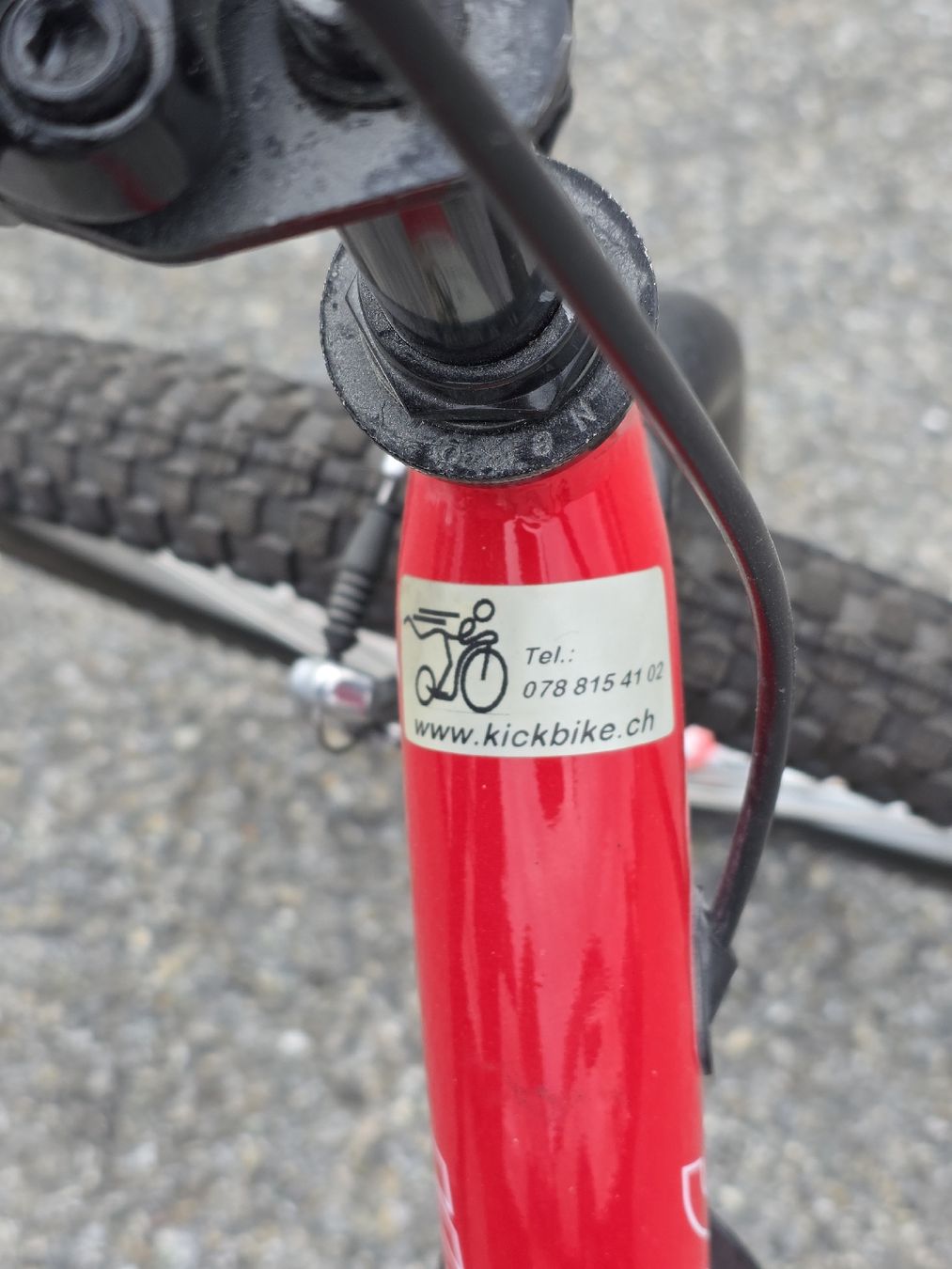 Biciclette: Kickbike Freeride – Usato da Kreuzlingen venduto da Diri9 3