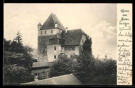 AK Aarau, Das Schloss