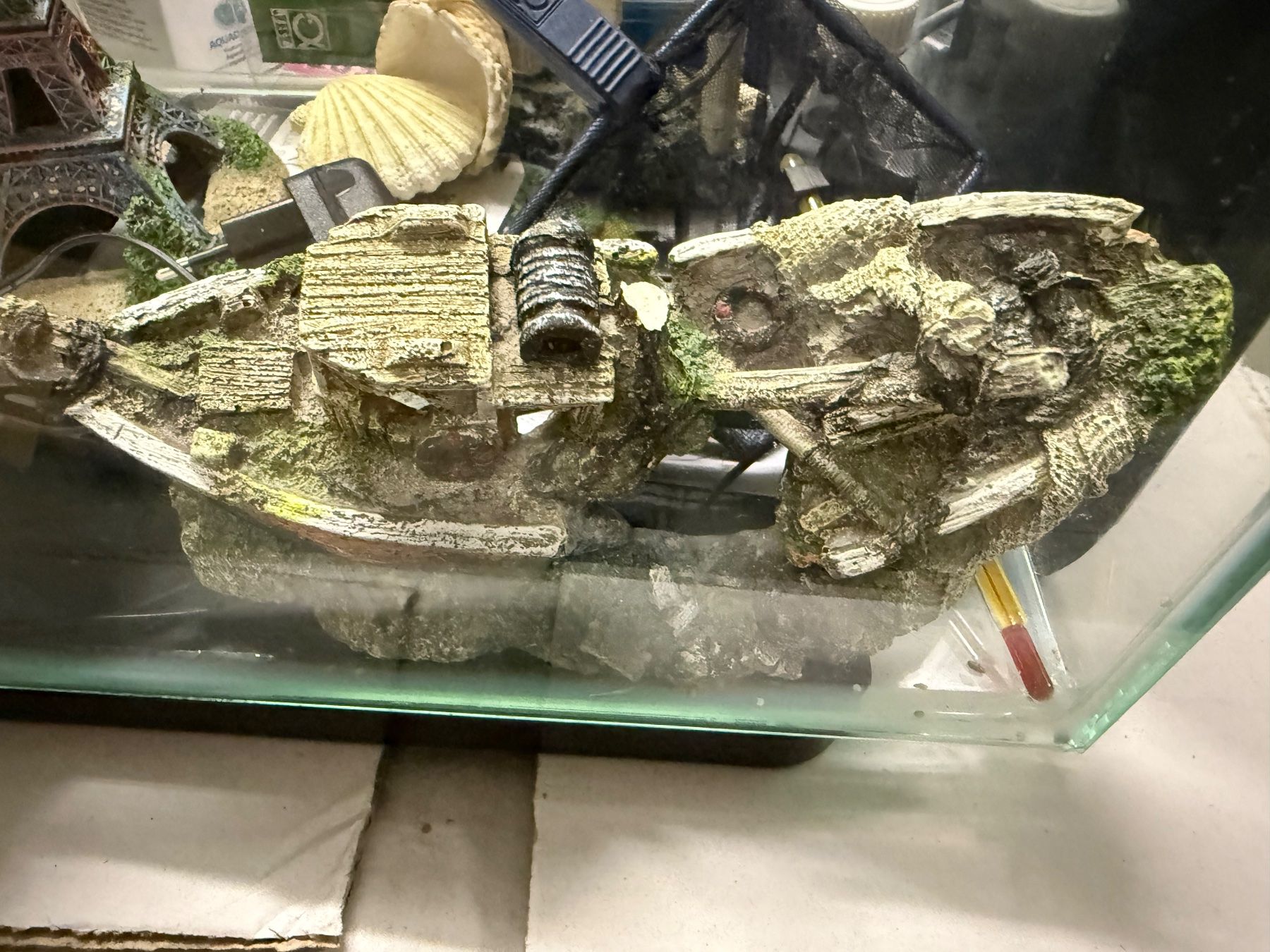 Acquari: Aquarium – Usato da Richterswil venduto da Radious 6