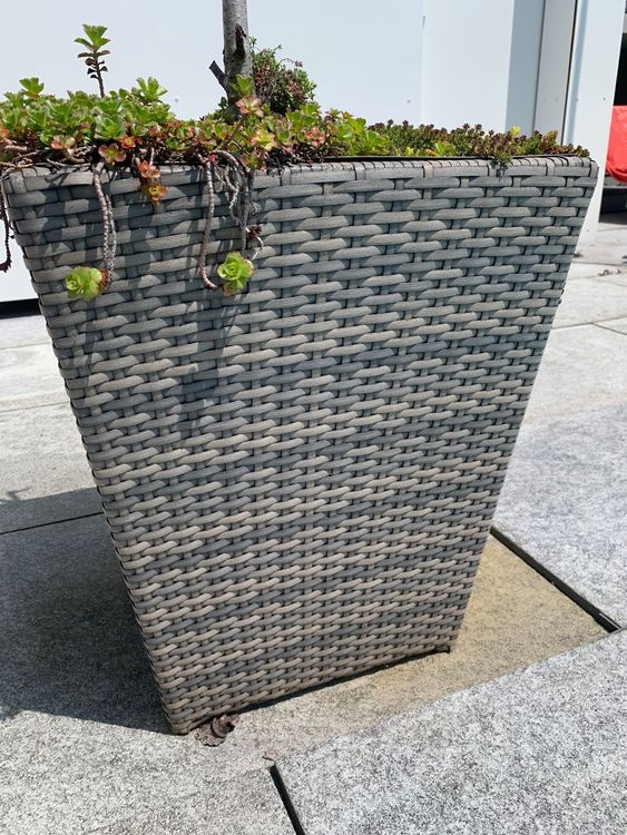 Blumengefäss Rattan Kaufen auf Ricardo