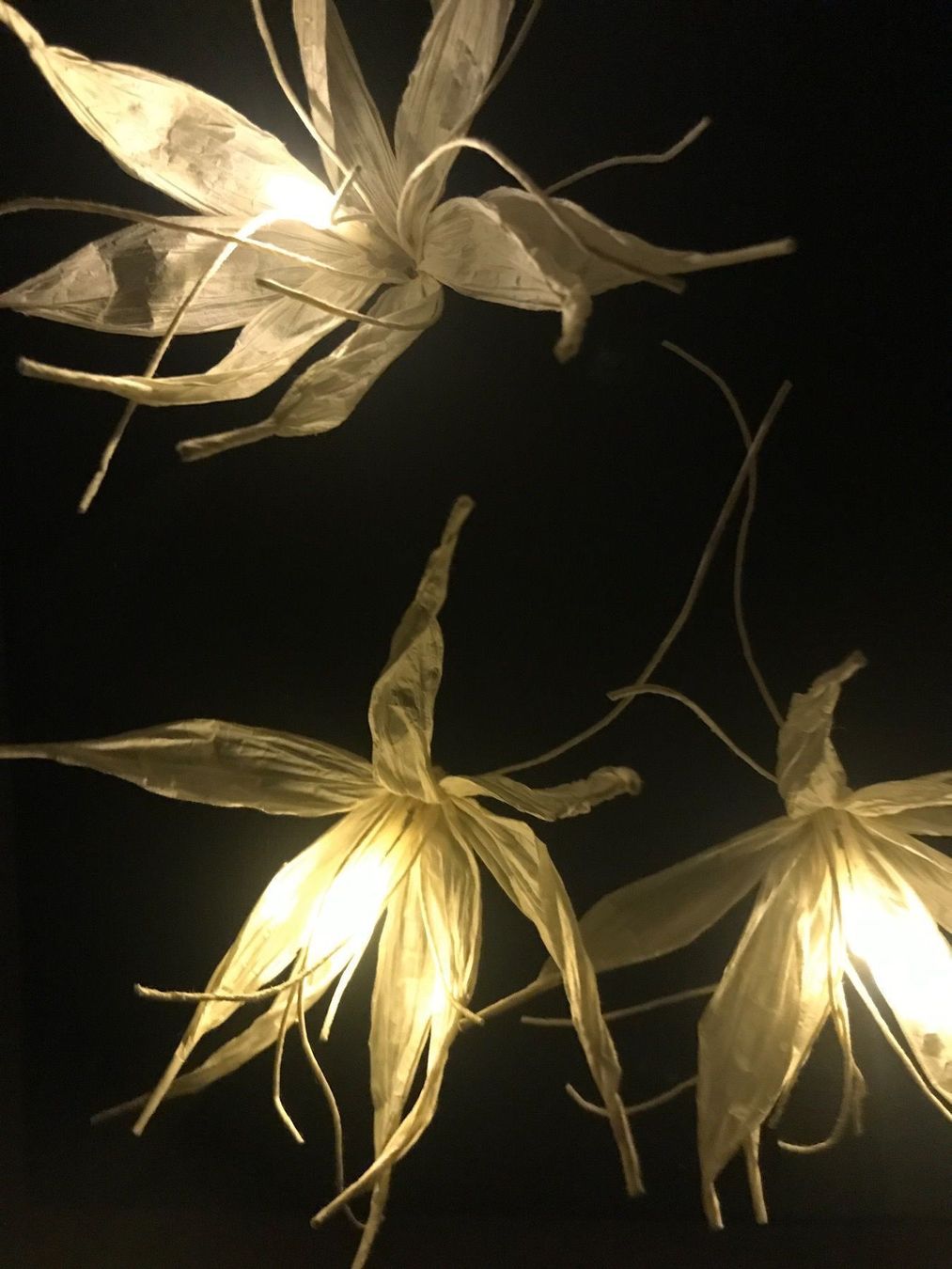 Foto & Immagini: Leinwand mit Papierblüte beleuchtet – Nuovo (secondo la descrizione) da Mels venduto da man_w8ky 4