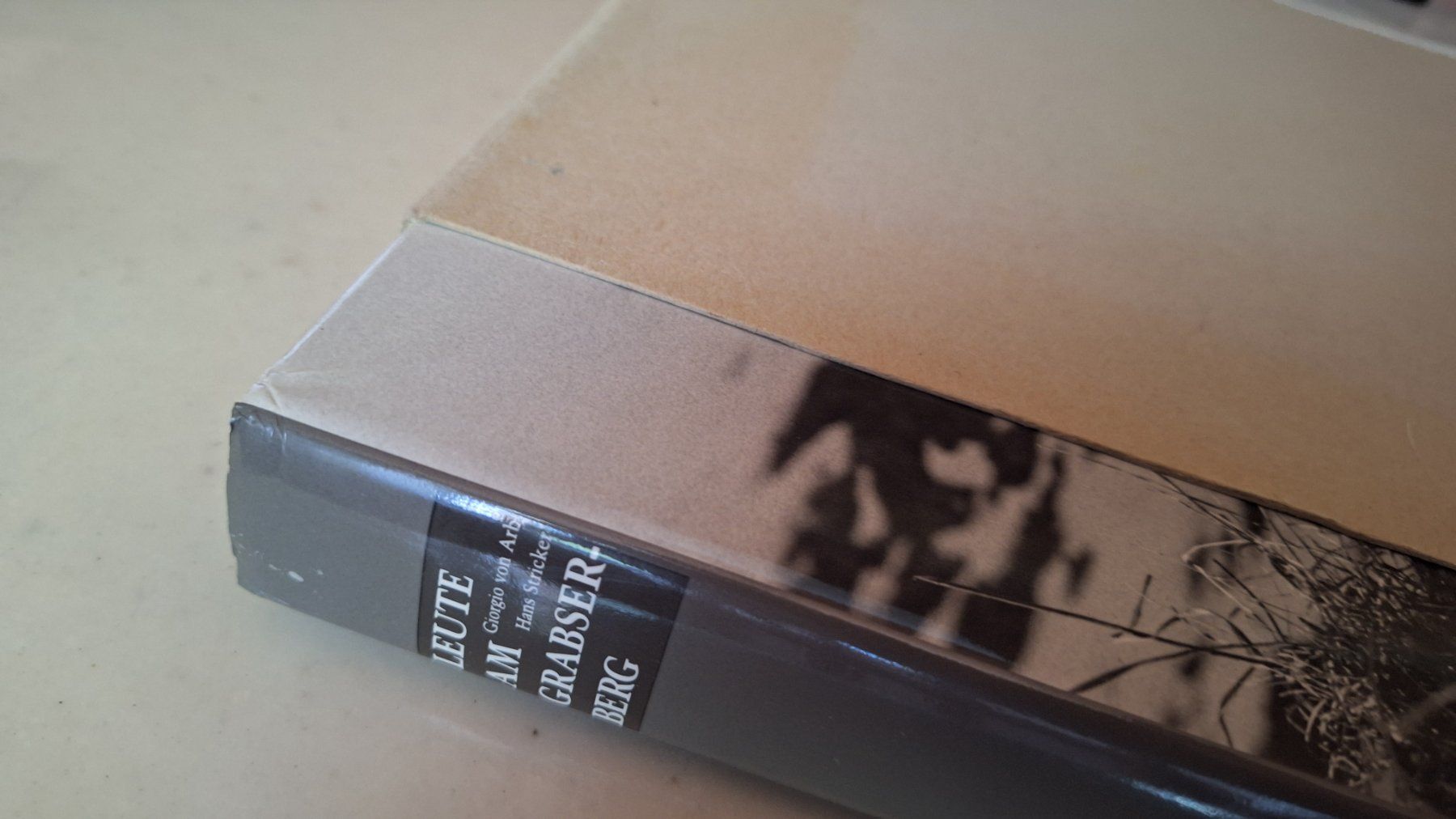 Libri: Leute am Grabserberg - 2. Auflage 1989 – Nuovo (secondo la descrizione) da Grabserberg venduto da Sahara947 1