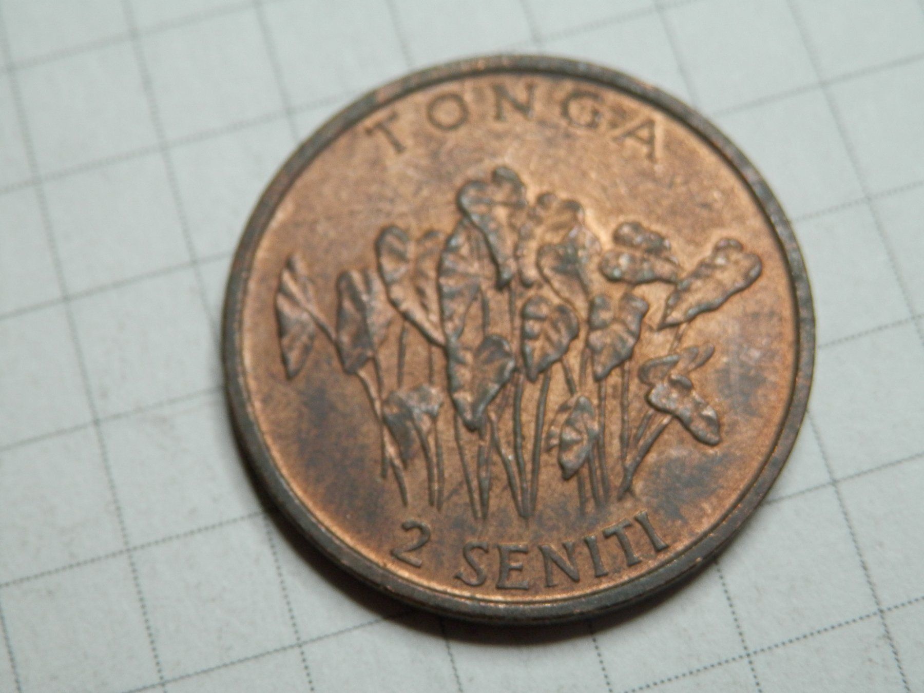 Alle Münzen: Tonga 2 Seniti, 1981 – Gebraucht aus Weiach von  1