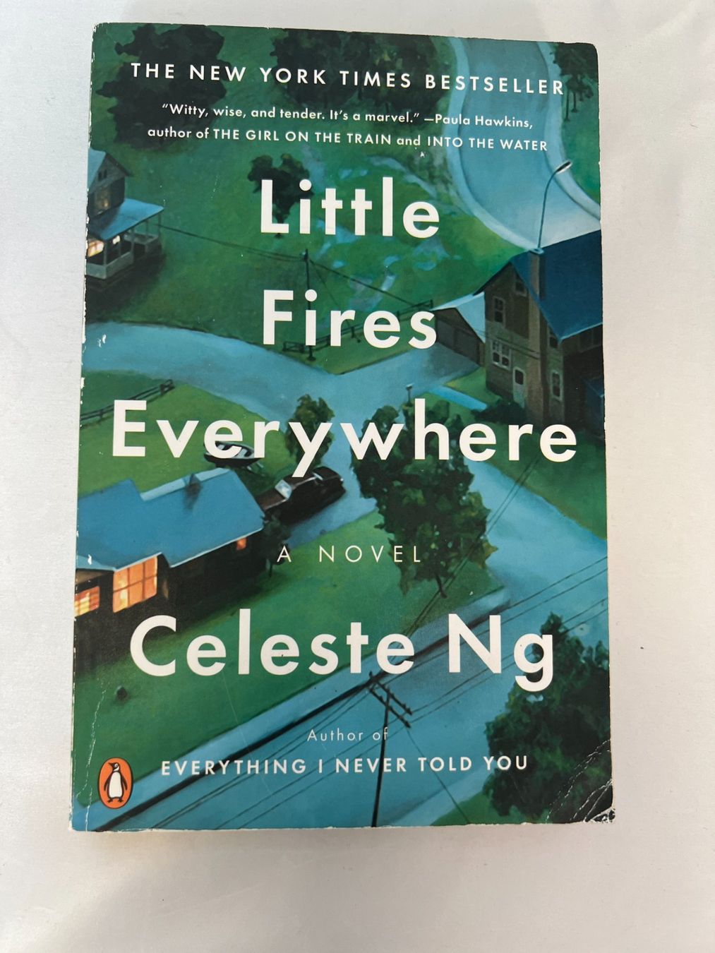 Livres: Roman "Little Fires Everywhere" von Celeste Ng – D'occasion à Zürich par Drahtzug