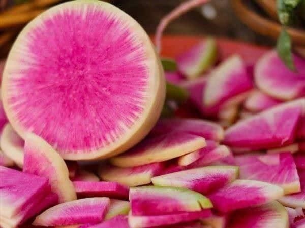 Piante & sementi: Radis Pastèque ! 40g – Nuovo (secondo la descrizione) da Bremblens venduto da FIBONACCI369 1