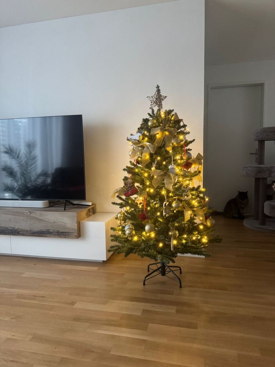 fichte künstlich Northern spruce main image 0