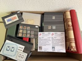 Wochenkiste mit 12 Album Viel CH ab Strubel