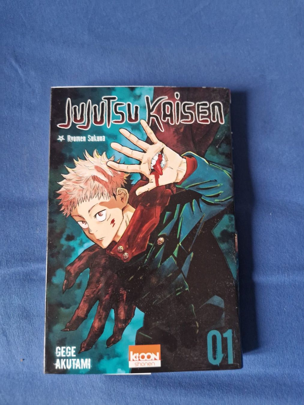 Comics: Jujutsu Kaisen Tome 1 – Gebraucht aus Palézieux-Village von oce_yc95