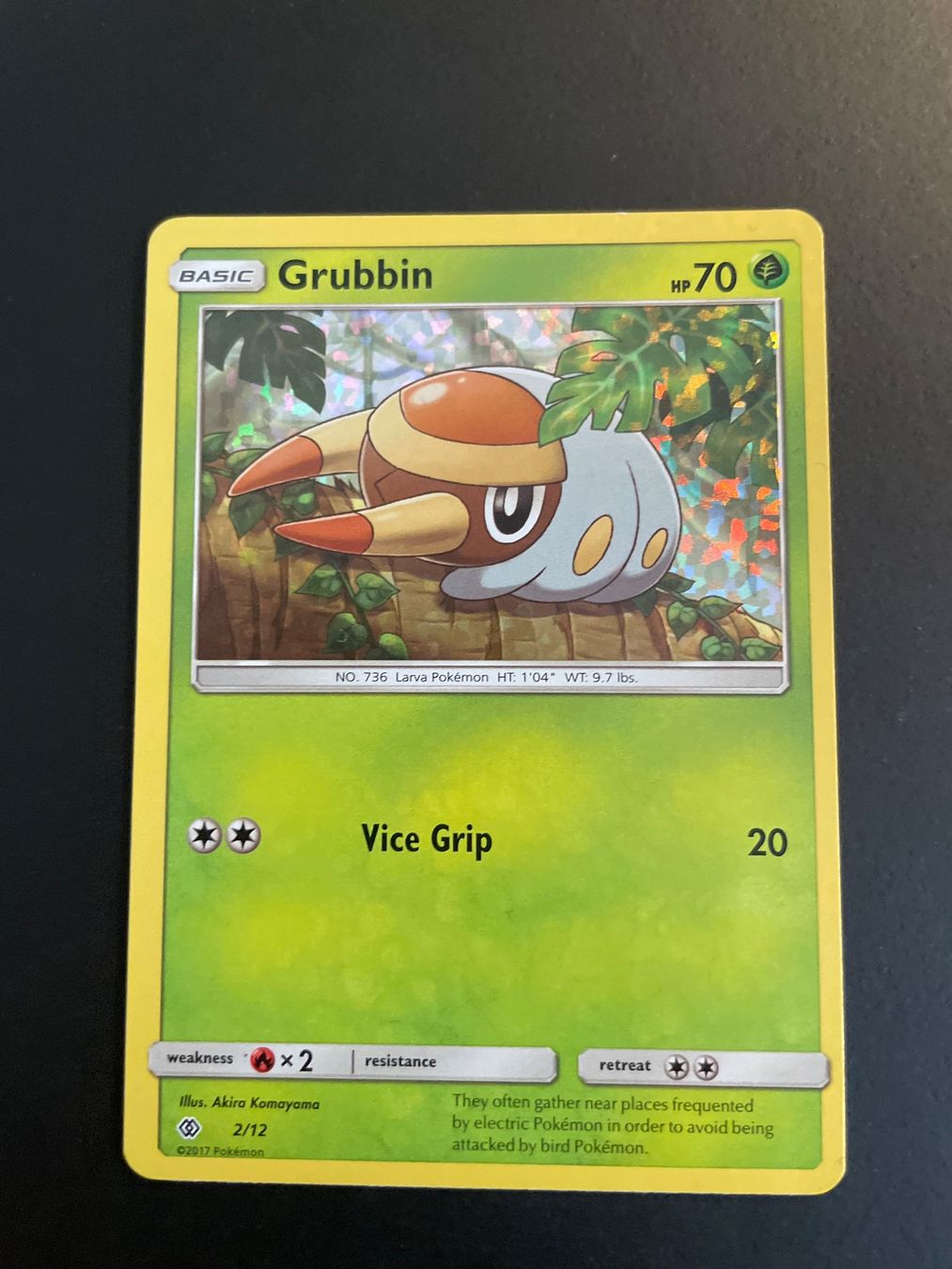Pokémon Carte collezionabili: Grubbin 2/12 Holo Shiny XY Black Star – Usato da Zürich venduto da pokemon_cards