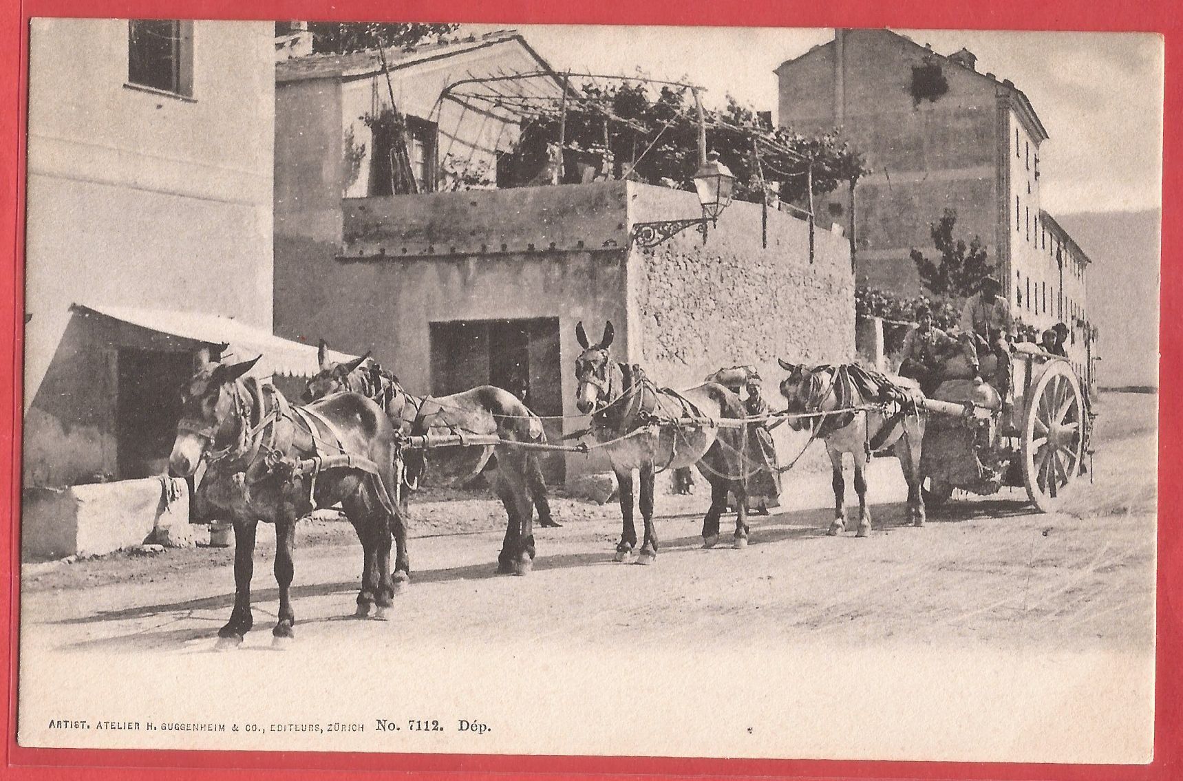 Ansichtskarten: Tessin ? Wo? - Maultier- oder Pferde-Transport - ca. 1905 – Gebraucht aus Fislisbach von Porano