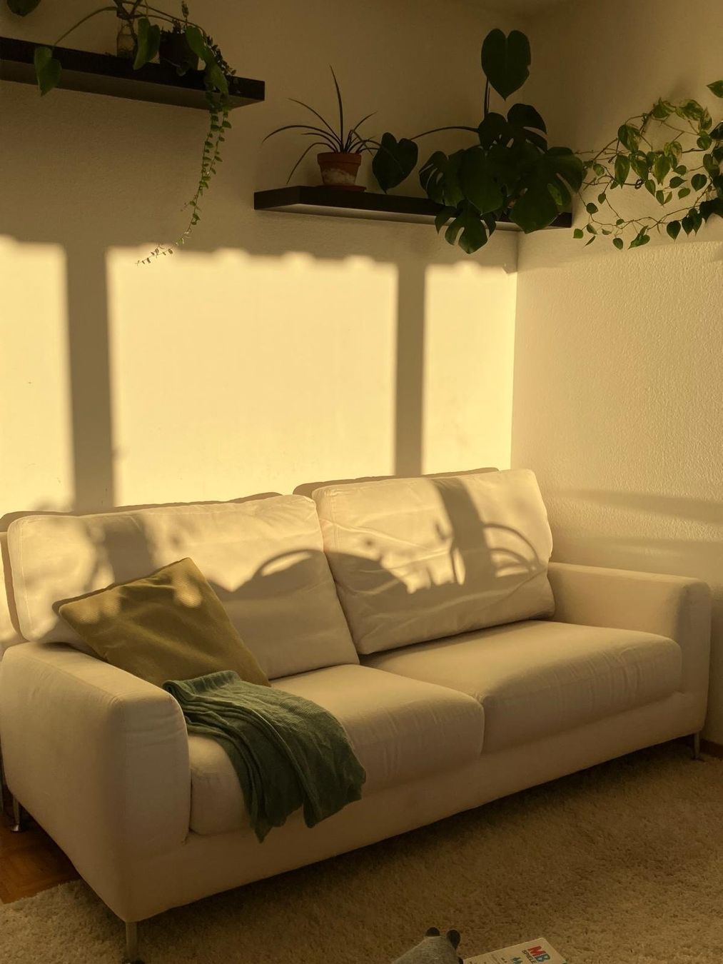 Divani: Sofa gebraucht – Usato da Zürich venduto da mur_jr8l 1