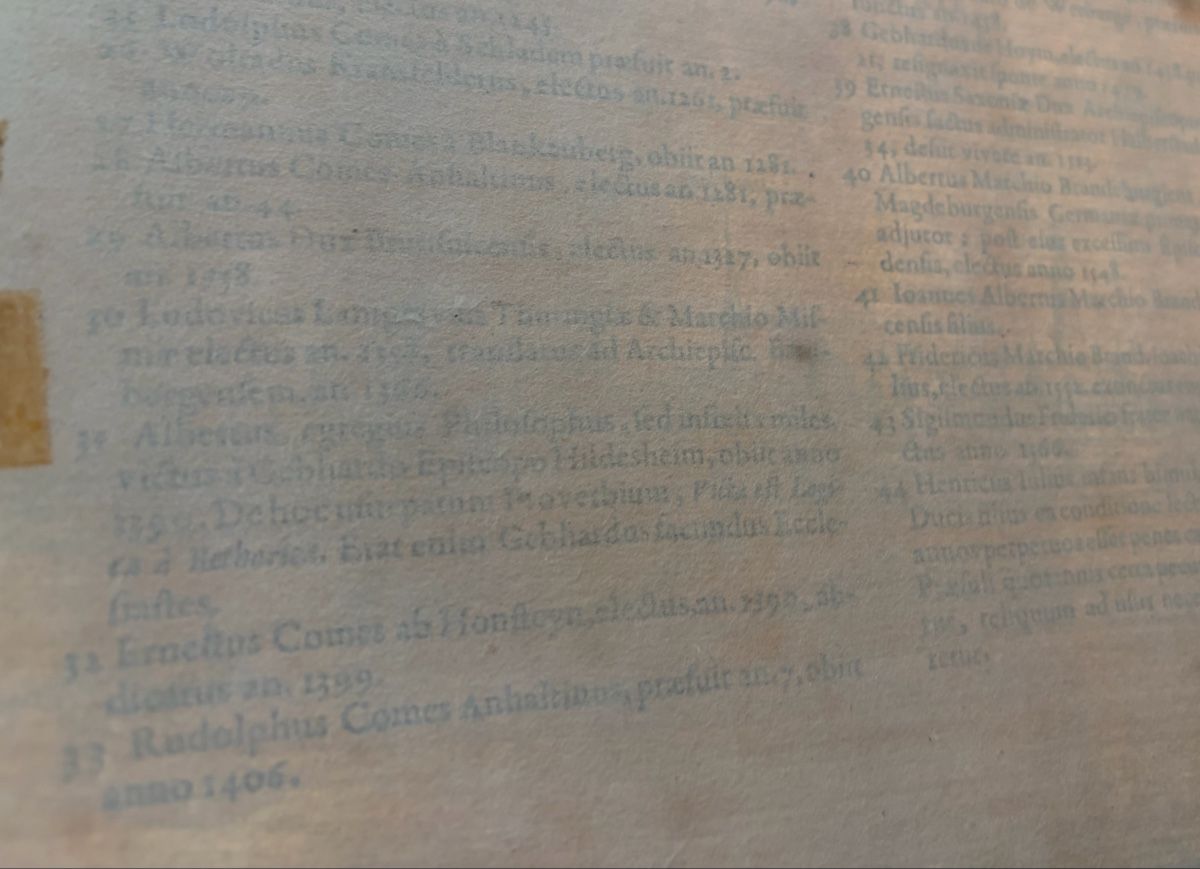 Incisioni: Hamburg Panorama Bertius 1616 Kupferstich . – Usato da Binningen venduto da Cchatz 3